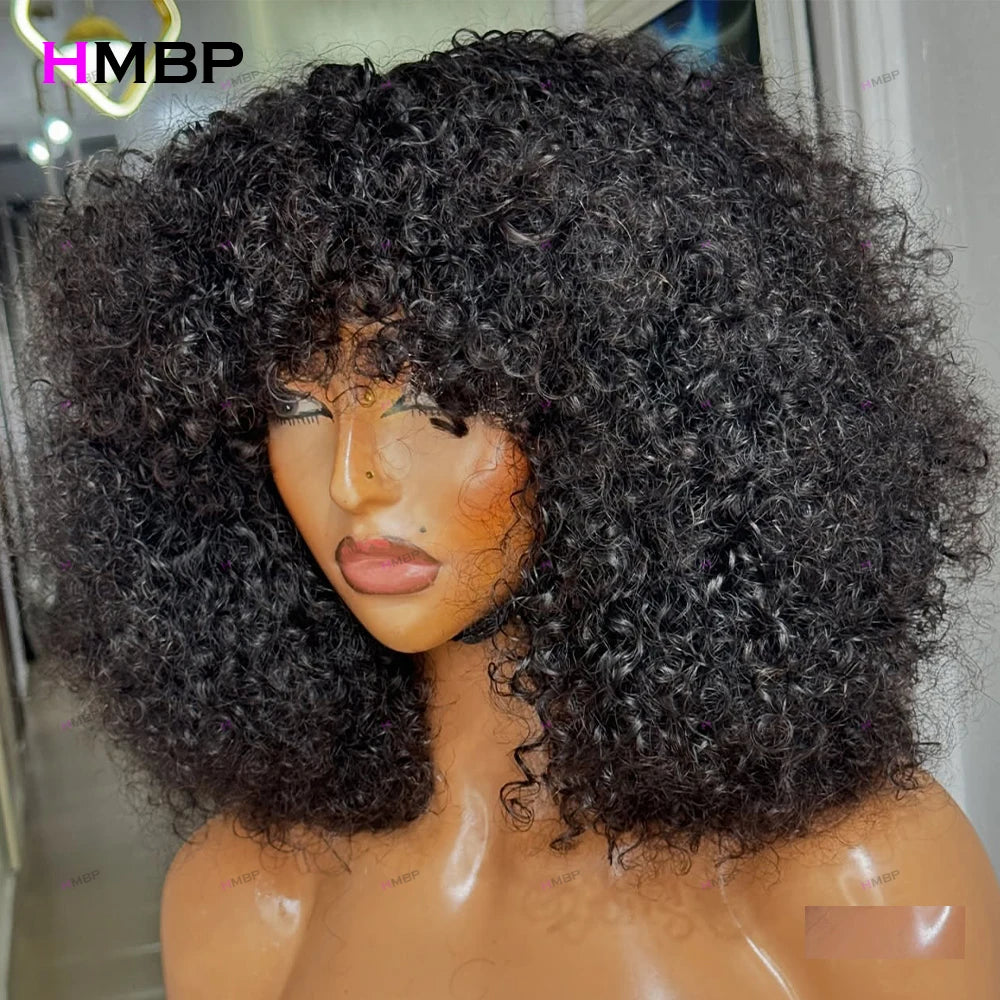 Afro Kinky Curly 500 Density Glueless Lace Front Wig Human Hair Ready To Go 13×6/360 HD Lace Front Wig Preplucked Hair For Women