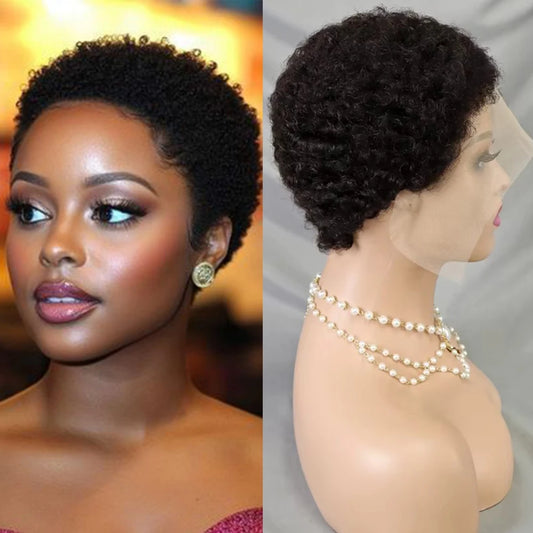 Natural Color 13x4 Transparent Lace Frontal Wig Afro Kinky Curly Human Hair Wig Brazilian Remy Human Hair Wig for Black Women