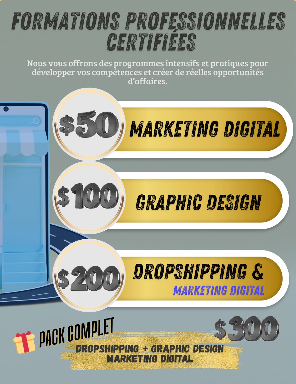 Digital Business Starter Kit: Learn Dropshipping, Marketing & Design with Vsociety”